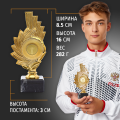 Кубок с эмблемоносителем для награждения победителя 5 шт.