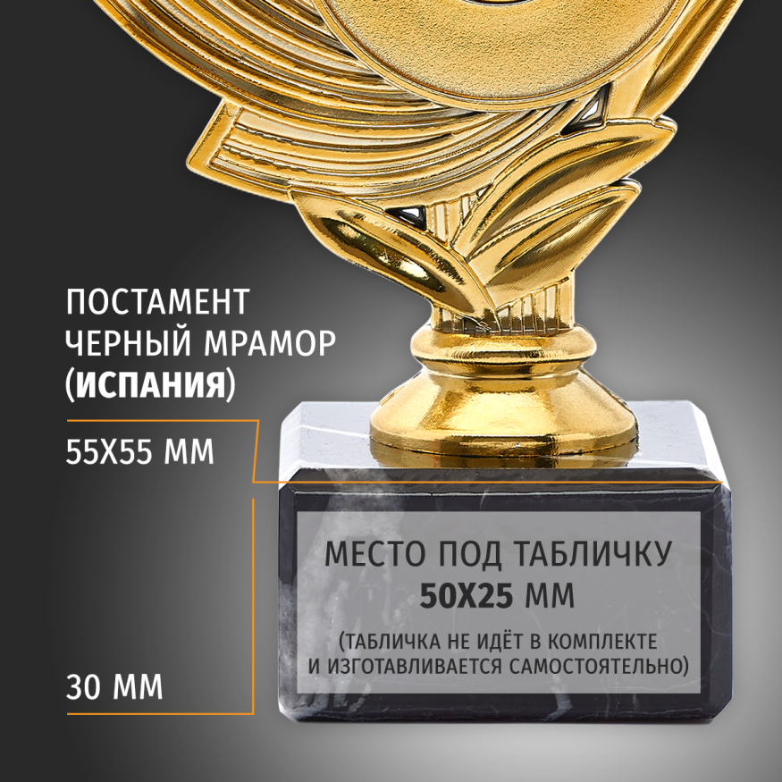 Кубок с эмблемоносителем для награждения победителя 5 шт.