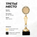 Кубок для награждения победителей и призеров соревнований и конкурсов за 3 место.