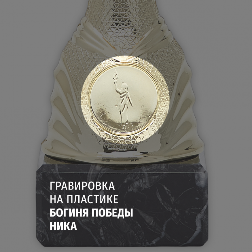 Комплект металлических кубков 3 шт. для награждения победителей и призеров. Высота 27.5 см.