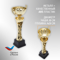 Спортивный кубок для награждения победителя 26.5 см