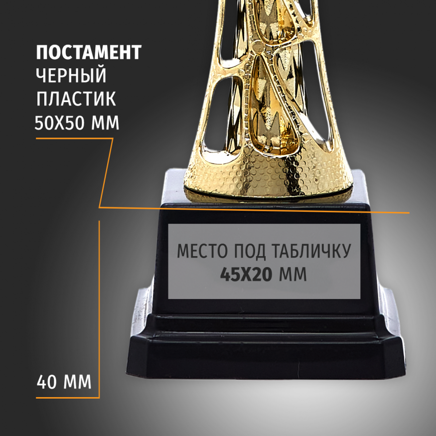 Спортивный кубок для награждения победителя 26.5 см
