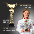 Спортивный кубок для награждения победителя 26.5 см