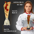 Кубок металлический для награждения победителей и призеров красный 27.5 см.