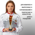 Кубок металлический для награждения победителей и призеров красный 27.5 см.